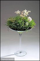 www.floristic.ru - . Step-by-step