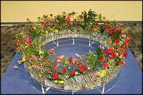 www.floristic.ru - . 16-     27-30.09.2007 . ().