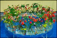 www.floristic.ru - . 16-     27-30.09.2007 . ().