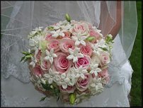 www.floristic.ru - . 