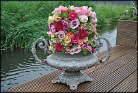 www.floristic.ru - .   .