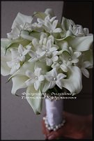 www.floristic.ru - . 