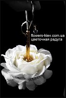 www.floristic.ru - . 