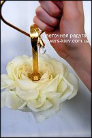 www.floristic.ru - . 