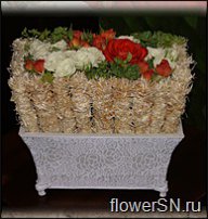 www.floristic.ru - .    !!!