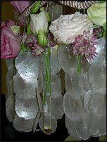 www.floristic.ru - .  