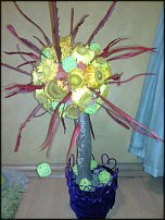 www.floristic.ru - .  .