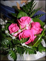 www.floristic.ru - .  .