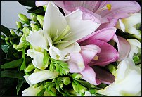 www.floristic.ru - . ,  .