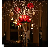 www.floristic.ru - . !!!!!