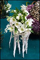 www.floristic.ru - .  . .