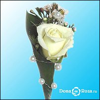 www.floristic.ru - .  .