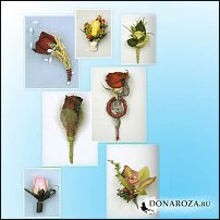 www.floristic.ru - .  .