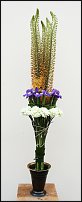 www.floristic.ru - .  .  .     23- 