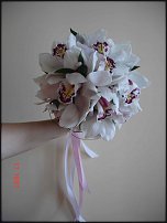 www.floristic.ru - .  .