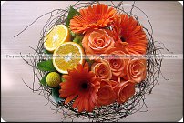 www.floristic.ru - .  .