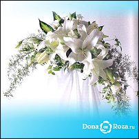 www.floristic.ru - .  .