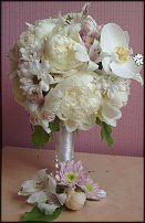 www.floristic.ru - .  