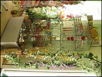 www.floristic.ru - Флористика. Экспонировать витрину и товар в ЦВЕТОЧНОМ магазине-это как?