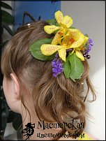 www.floristic.ru - .    