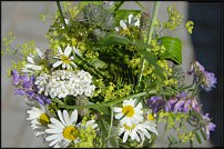 www.floristic.ru - .   ""  -