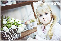 www.floristic.ru - Флористика. Экспонировать витрину и товар в ЦВЕТОЧНОМ магазине-это как?