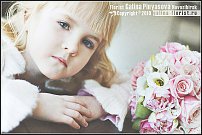 www.floristic.ru - Флористика. Экспонировать витрину и товар в ЦВЕТОЧНОМ магазине-это как?
