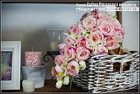 www.floristic.ru - Флористика. Экспонировать витрину и товар в ЦВЕТОЧНОМ магазине-это как?