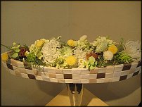 www.floristic.ru - .     -   !