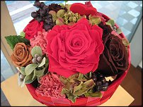 www.floristic.ru - .     -   !