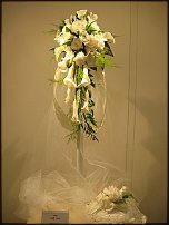 www.floristic.ru - Флористика. Стабилизированные или консервированные растения - аналог искусственных цветов!