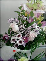 www.floristic.ru - .  .