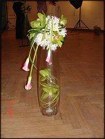 www.floristic.ru - .  