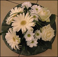 www.floristic.ru - .   