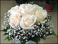 www.floristic.ru - .  .