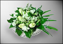 www.floristic.ru - .  