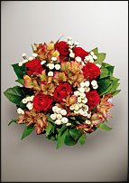 www.floristic.ru - .  