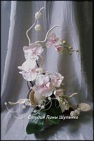 www.floristic.ru - .      .