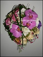 www.floristic.ru - .  .