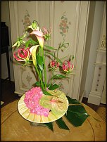 www.floristic.ru - .   