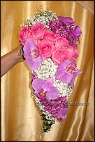 www.floristic.ru - .    