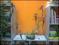 www.floristic.ru - .  