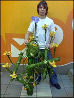 www.floristic.ru - .      