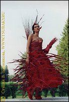     
: hog_red3.jpg
: 290
:	35.2 
ID:	48273