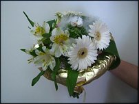 www.floristic.ru - .   