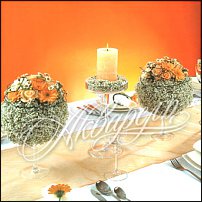 www.floristic.ru - .  .