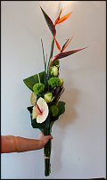 www.floristic.ru - .    ?