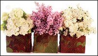 www.floristic.ru - .    