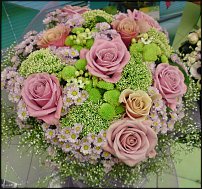 www.floristic.ru - .  .