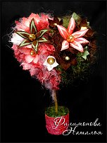 www.floristic.ru - .     -,  ..